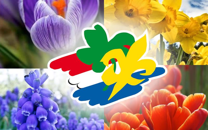 Afbeelding: old-images/2015/4luik-logo_v3.jpg